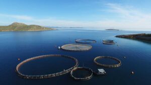 Read more about the article The Secrets Behind Sustainable Fish Farming in Greece