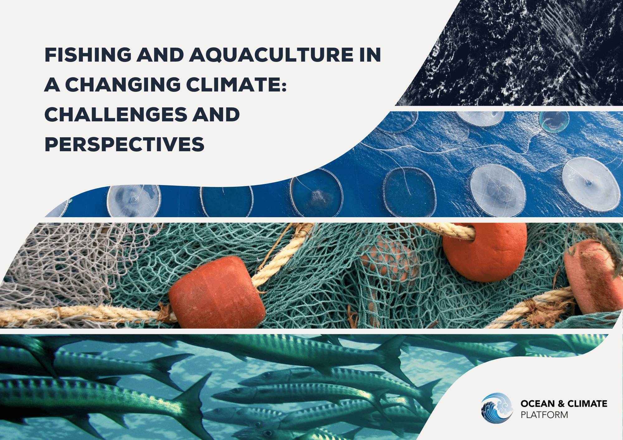 Read more about the article The Impact of Climate Change on the Fish Farming Industry