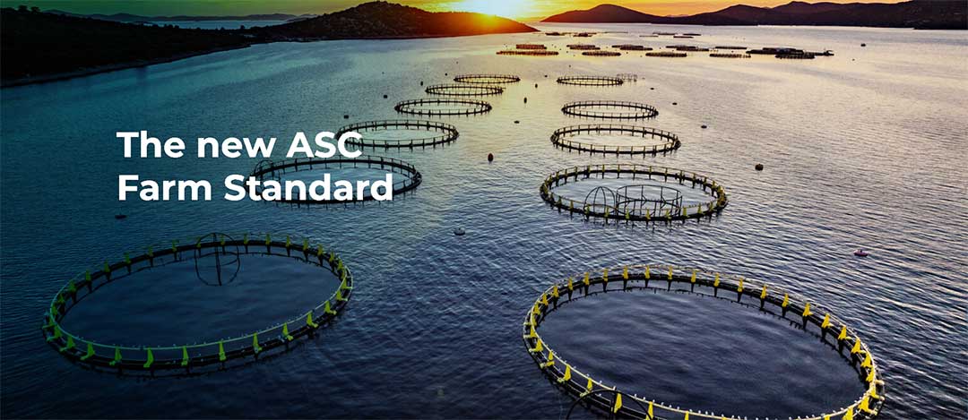 Read more about the article We support the chain, using market mechanisms, improvement incentives and delivering value-added services from farm to fork