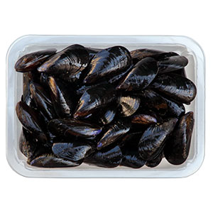 Mussels